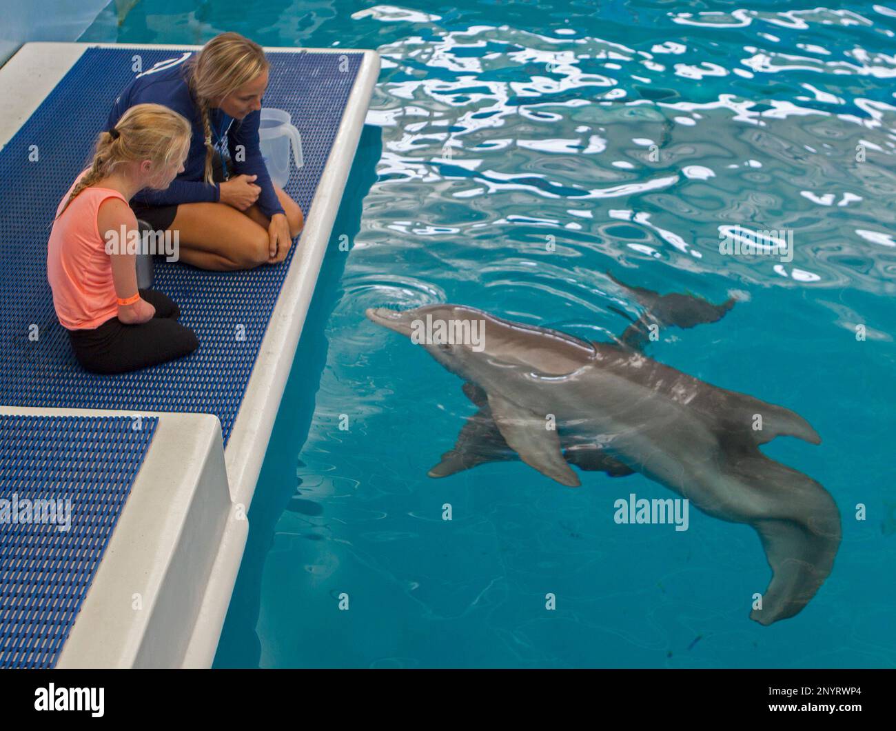 Ellie Challis, 13, visits dolphins Winter and Hope at the Clearwater