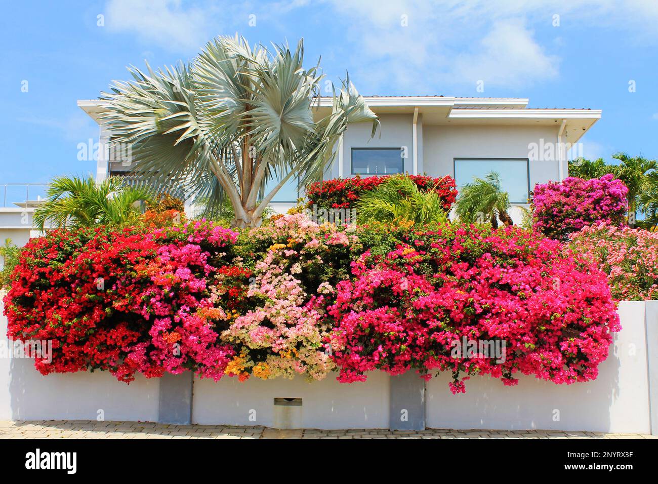 Noord, Aruba - March 10, 2022. House with front yard filled with beautiful tropical flowers and palm trees. Stock Photo