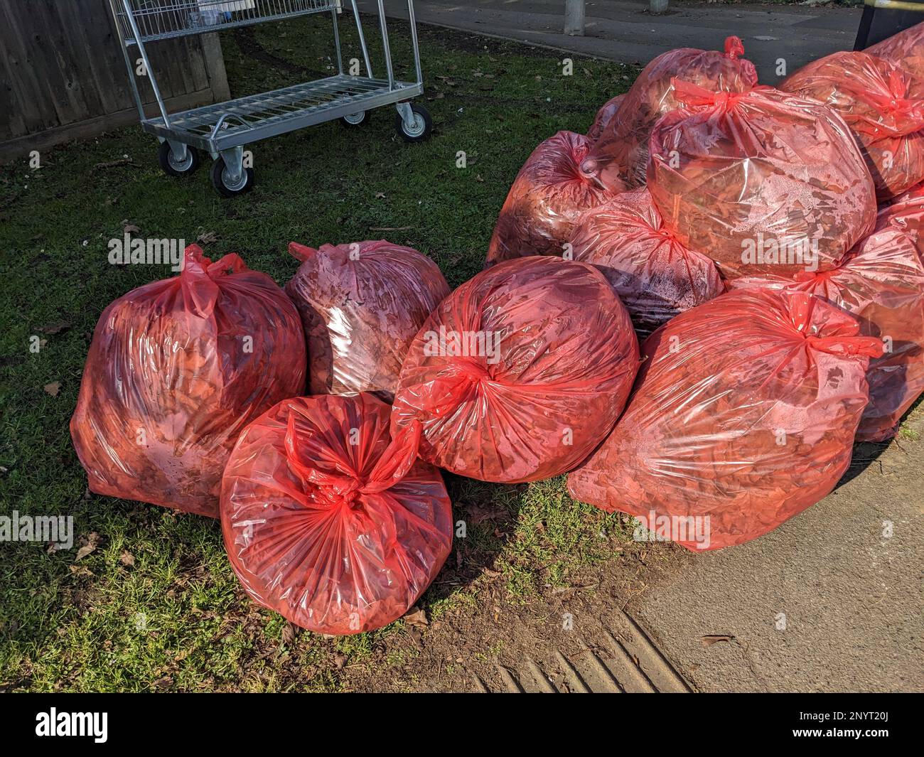 A Red Bin Bags Piling Up on A Street Corner Waiting to Be Collected Next To A Metal Bin Stock