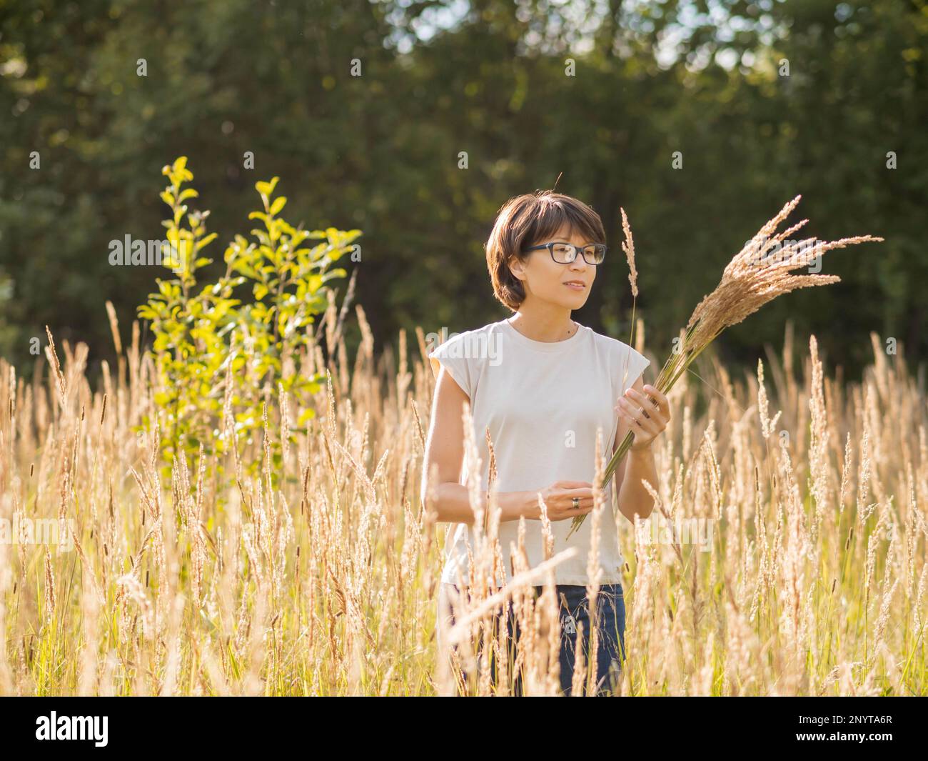 Woman is picking dried grass on autumn field. Florist at work. Using dried plants as decorative bouquet for home interior. Stock Photo