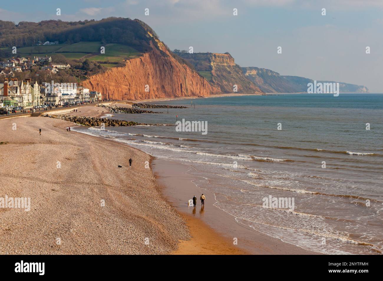 Sidmouth, Devon, UK. 2nd March 2022. UK Weather. Spring sunshine at