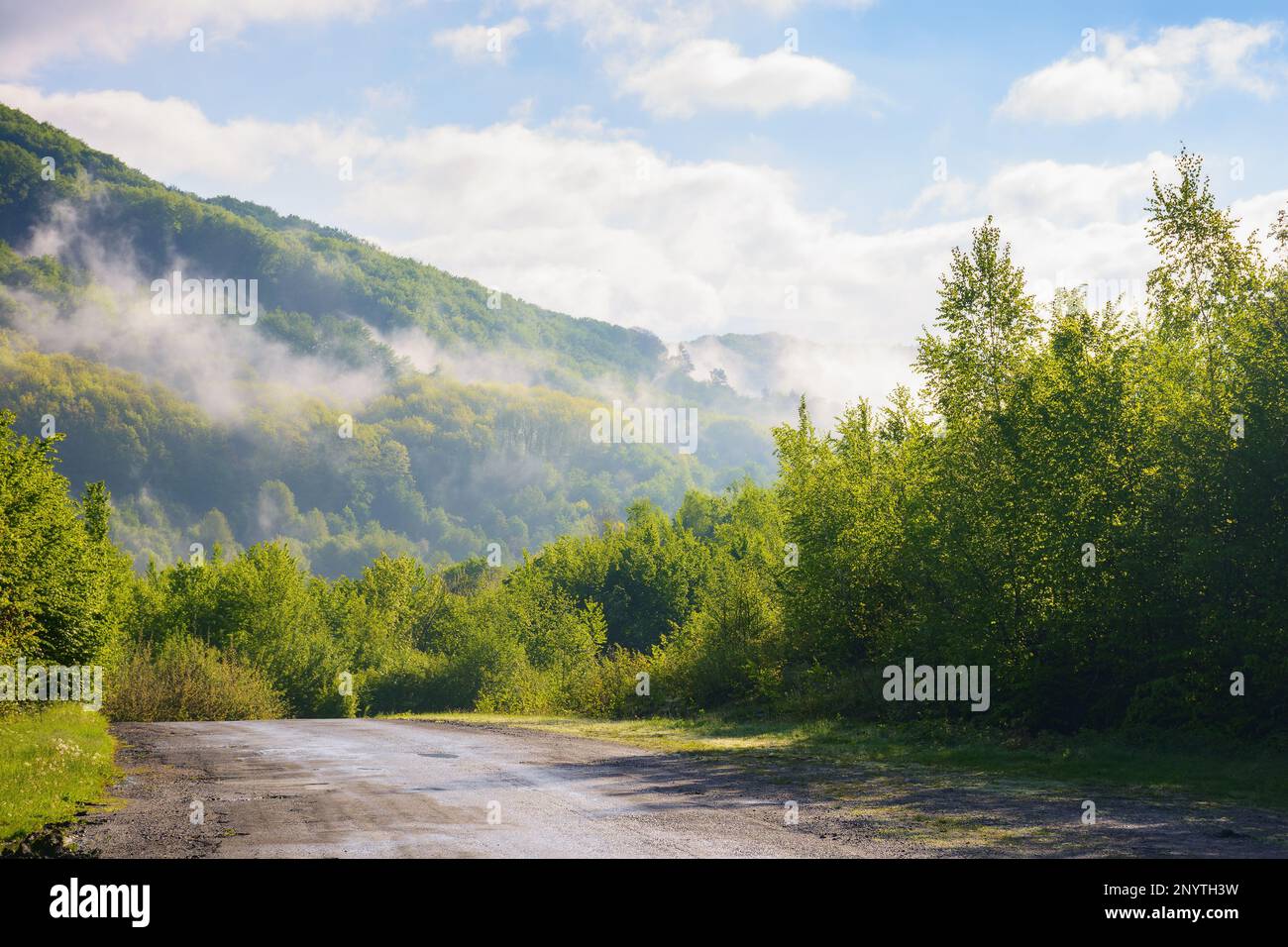 road winds through the foggy countryside, revealing a breathtaking ...