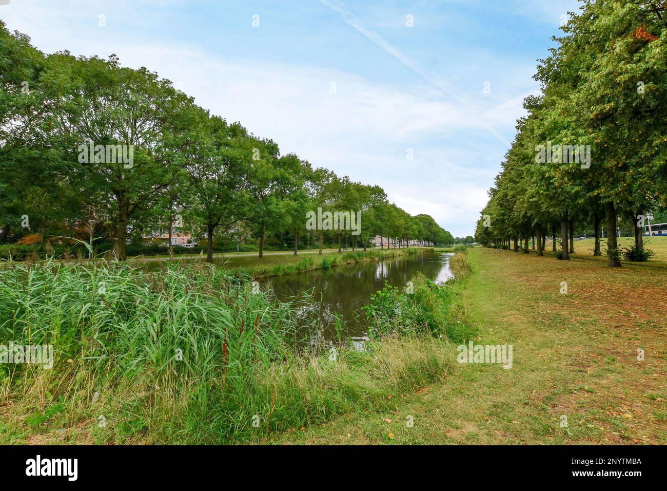 Grass growing along the middle hi-res stock photography and images - Alamy