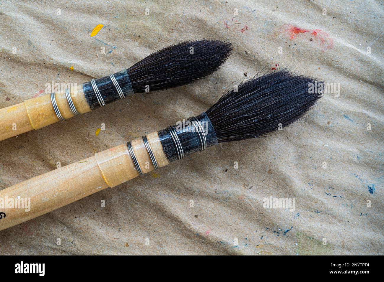 Watercolor paint brushes, each a mop or wash round made of squirrel
