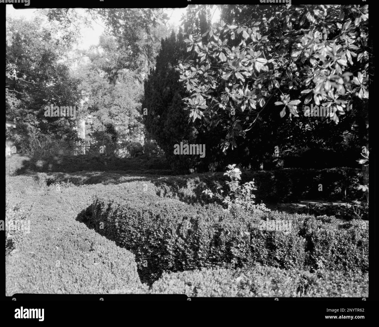 Hickory hill hires stock photography and images Alamy