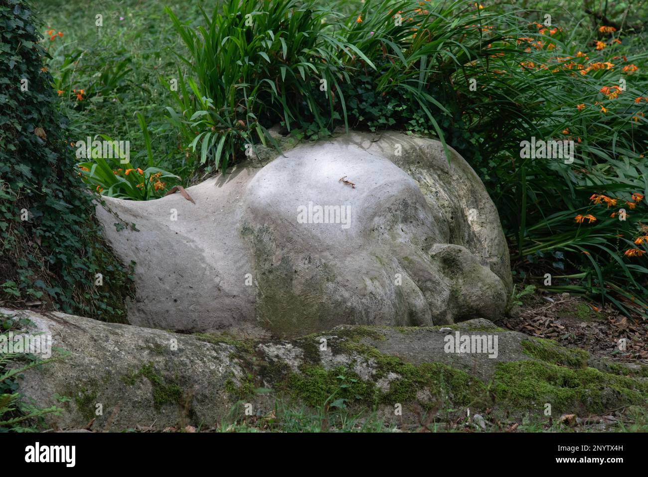 Giant head at Lost gardens of Heligan  Cornwall England Stock Photo
