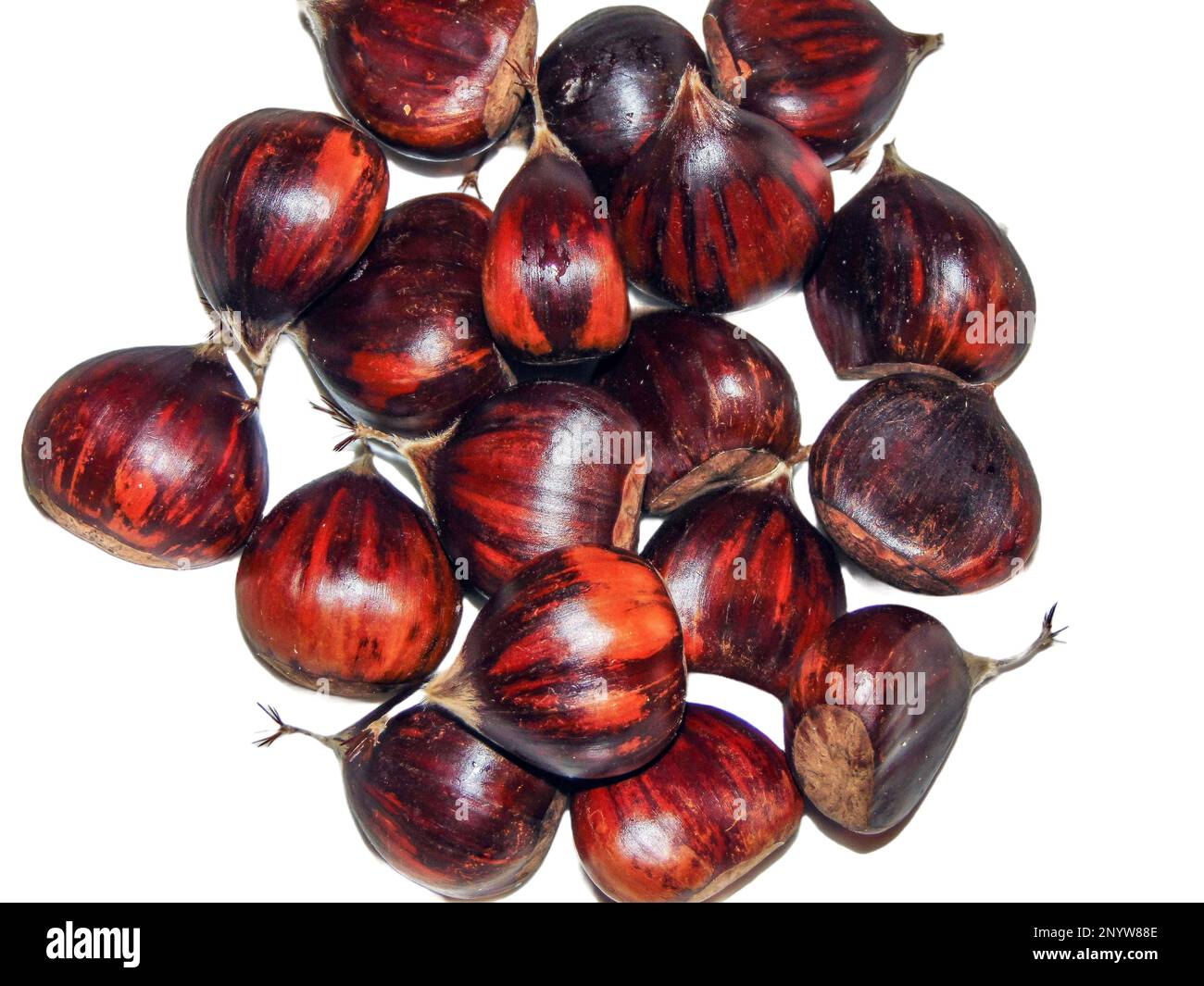 boiled chestnuts isolated on white background Stock Photo