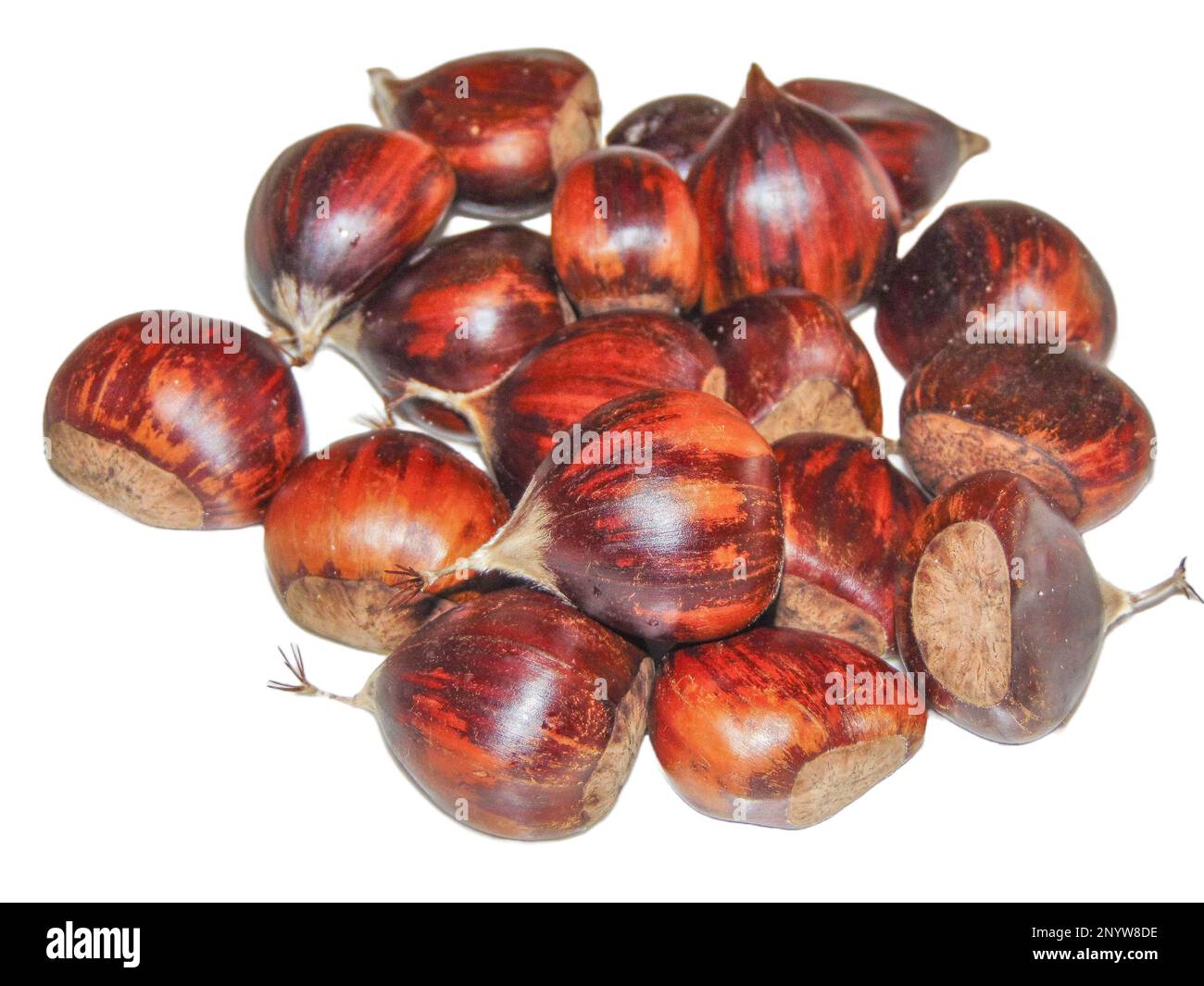 boiled chestnuts isolated on white background Stock Photo