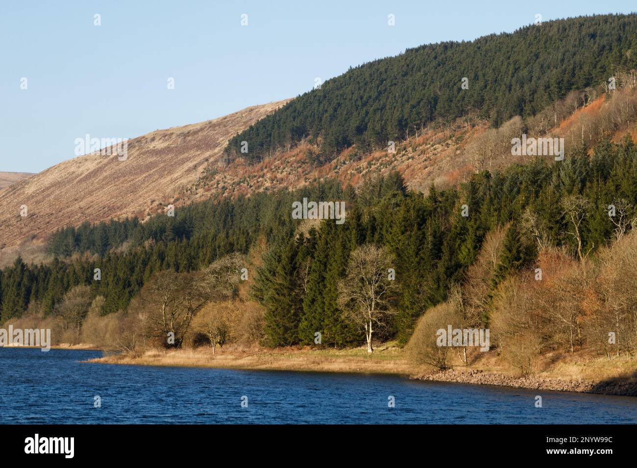 Pontsticill Reservoir, Merthyr Tydfil, South Wales, UK. 2 March 2023