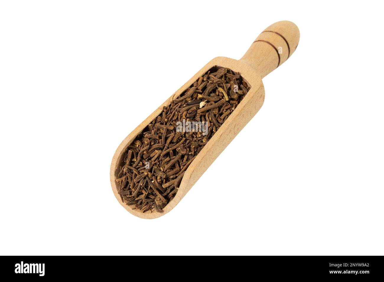 Valerian herb root  in wooden scoop isolated on white background. Valeriana officinalis. used in herbal medicine as a tranquillizer and to treat insom Stock Photo