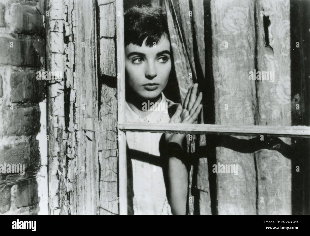 American actress Millie Perkins in the movie The Diary of Anne Frank, USA 1959 Stock Photo