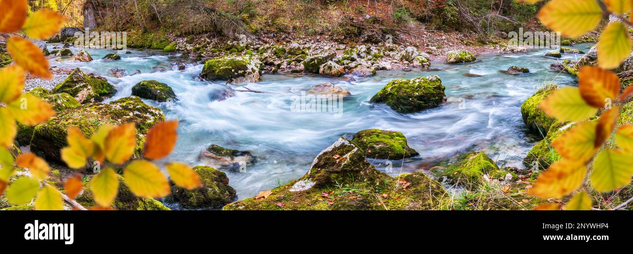 wild river in deep canyon Stock Photo