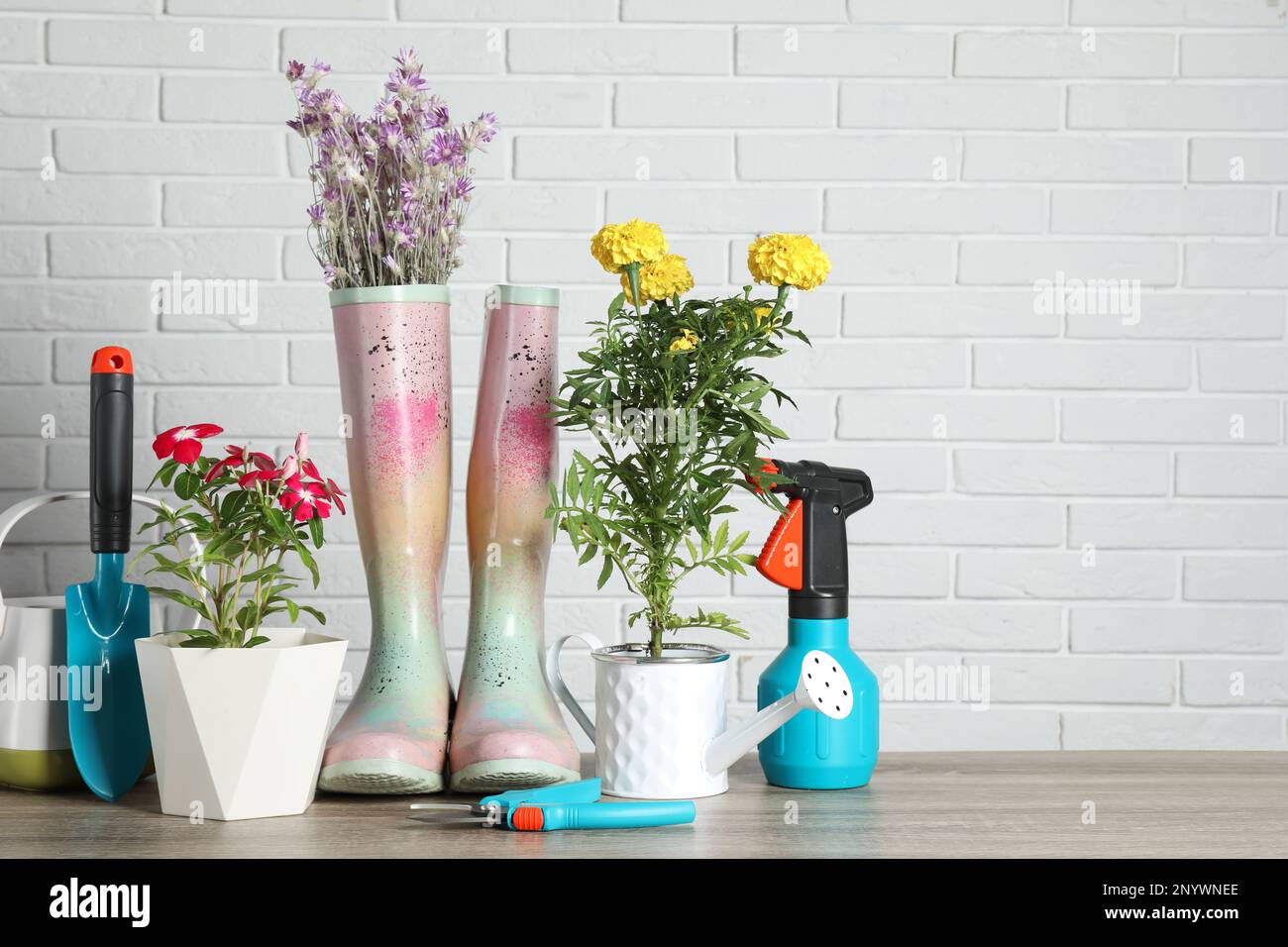 Beautiful flowers and gardening tools on wooden table near white brick wall Stock Photo