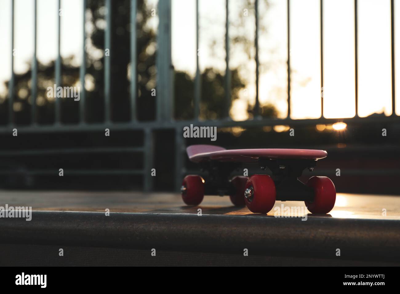 Pink Ramp Model Modern pink skateboard with red wheels on top of ramp outdoors. Space ...
