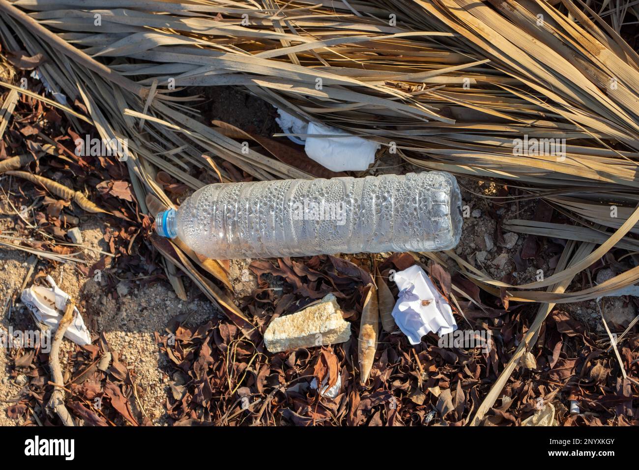 plastic garbage discarded in the desert of Egypt Stock Photo