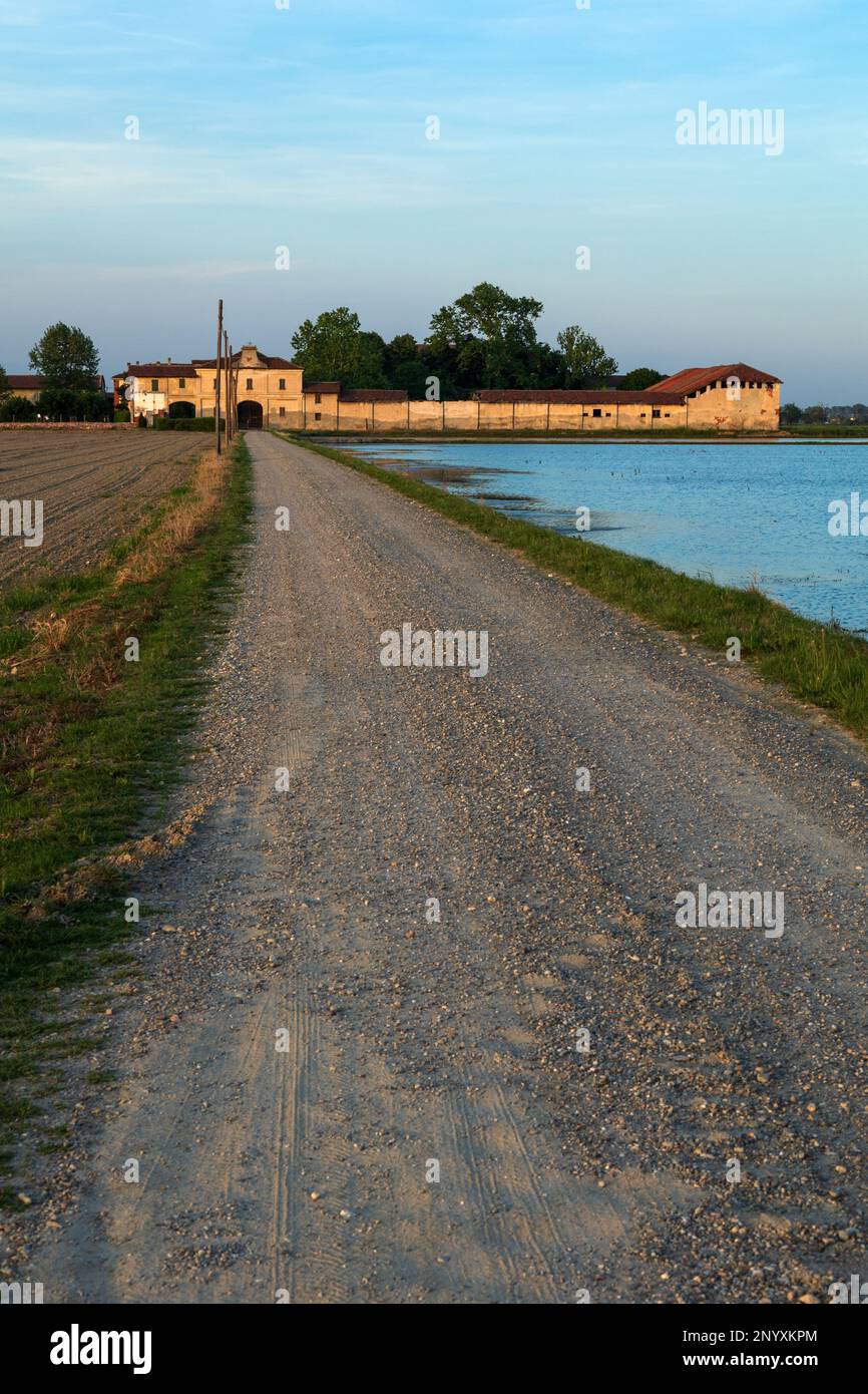 Risaie novaresi hi-res stock photography and images - Alamy