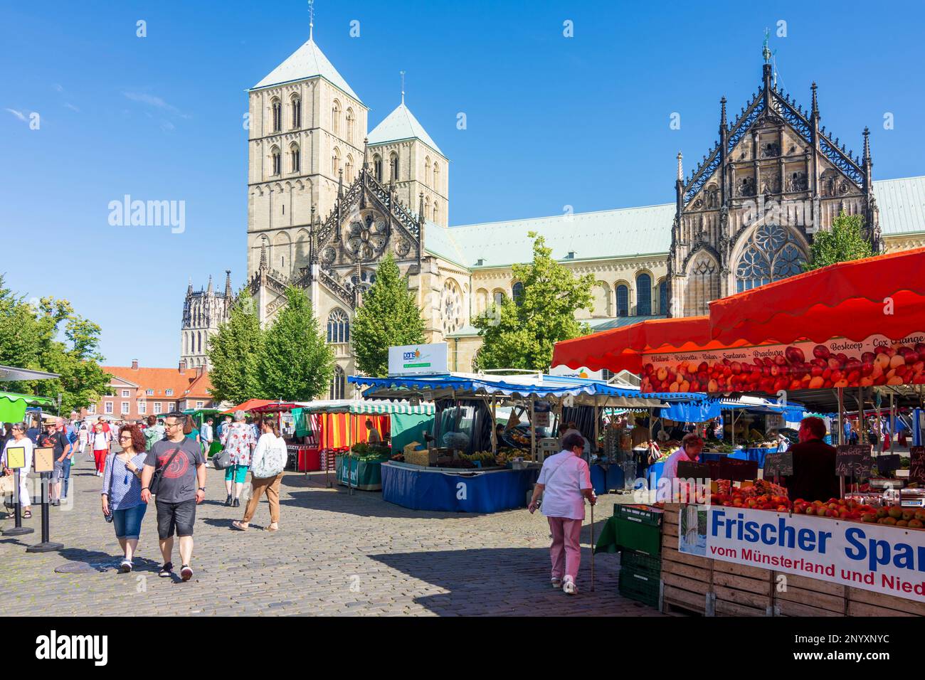 Münster: Münster Cathedral or St.-Paulus-Dom, weekly market in Münsterland, Nordrhein-Westfalen, North Rhine-Westphalia, Germany Stock Photo