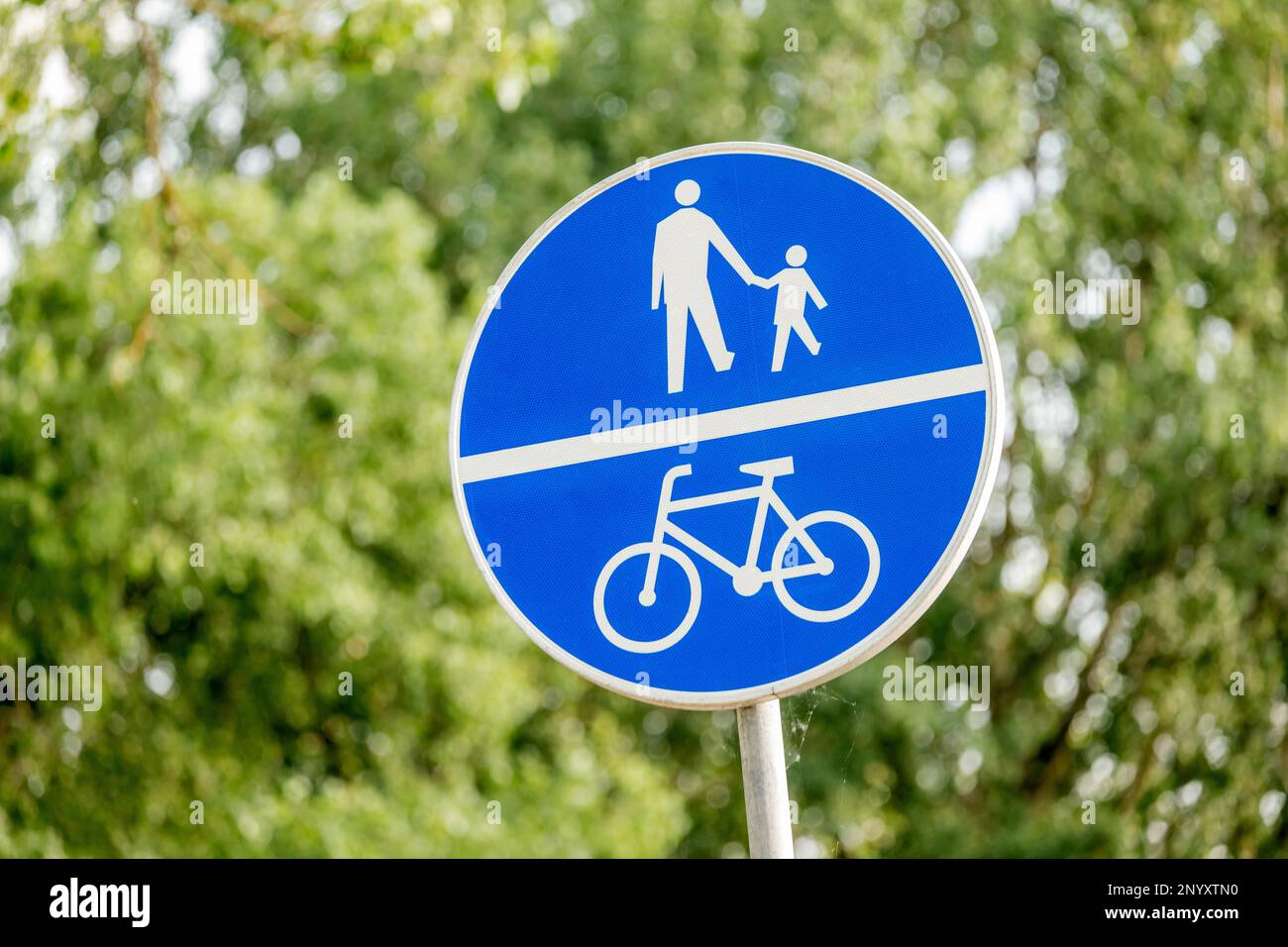 path-for-pedestrians-shared-with-a-bike-lane-cycle-lane-blue-polish