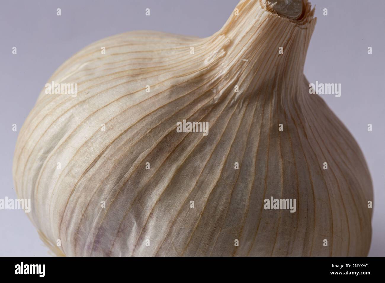 Garlic on white background macro photography Stock Photo Alamy