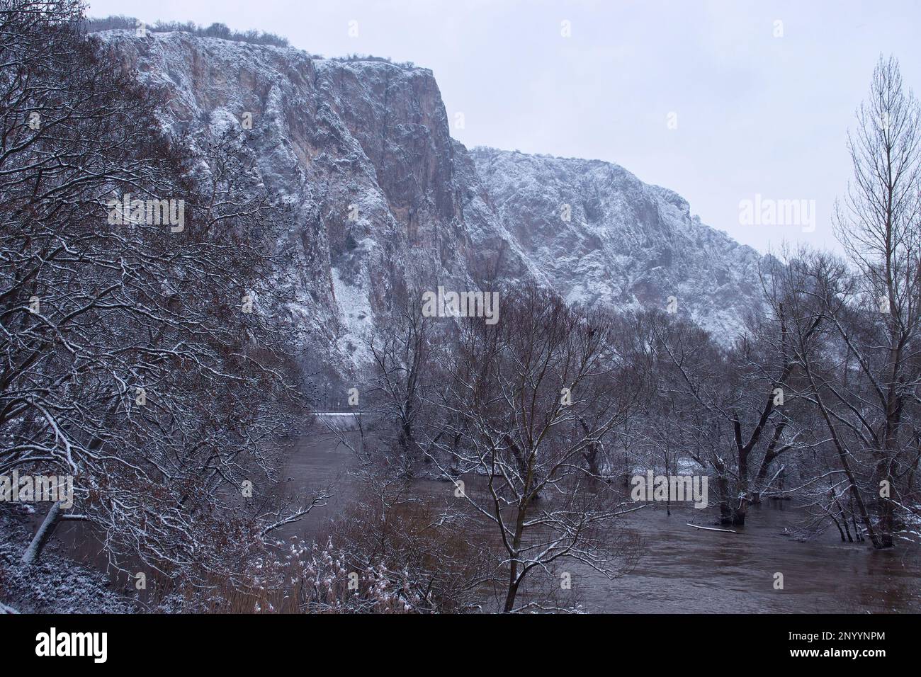 Rotenfels covered in snow next to the Nahe river on a foggy grey winter day in Bad Kreuznach, Germany. Stock Photo