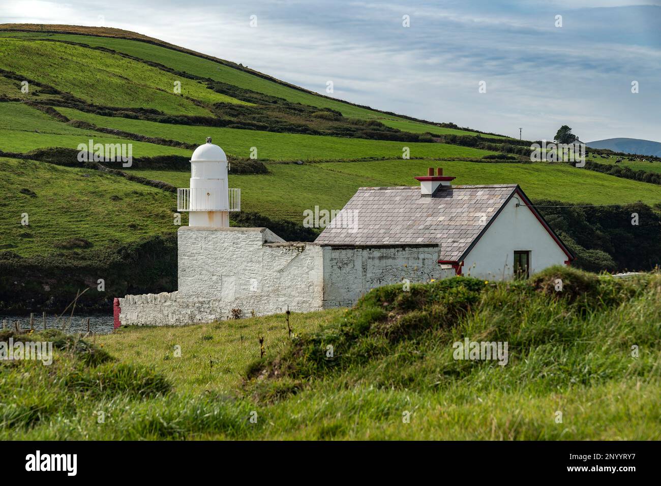The bright white Dingle lighthouse surrounded by lush green meadows