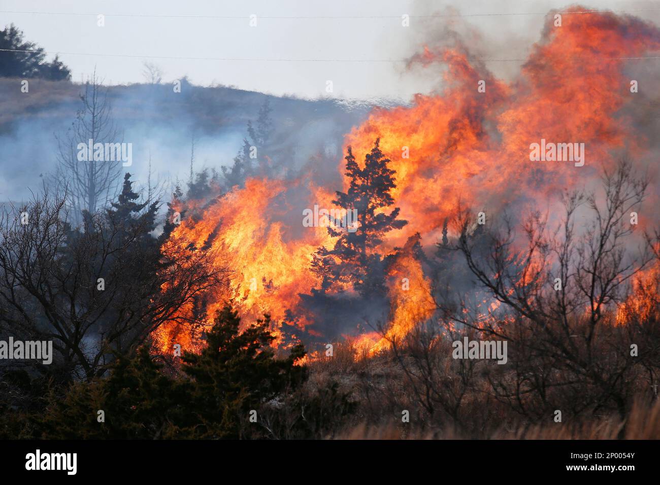 Chris beutler hires stock photography and images Alamy