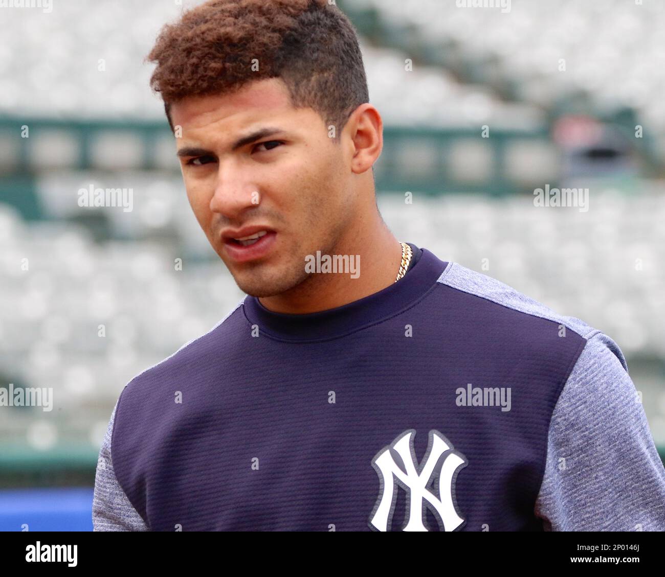 April 17, 2017 Trenton, New Jersey, U.S Trenton Thunder infielder