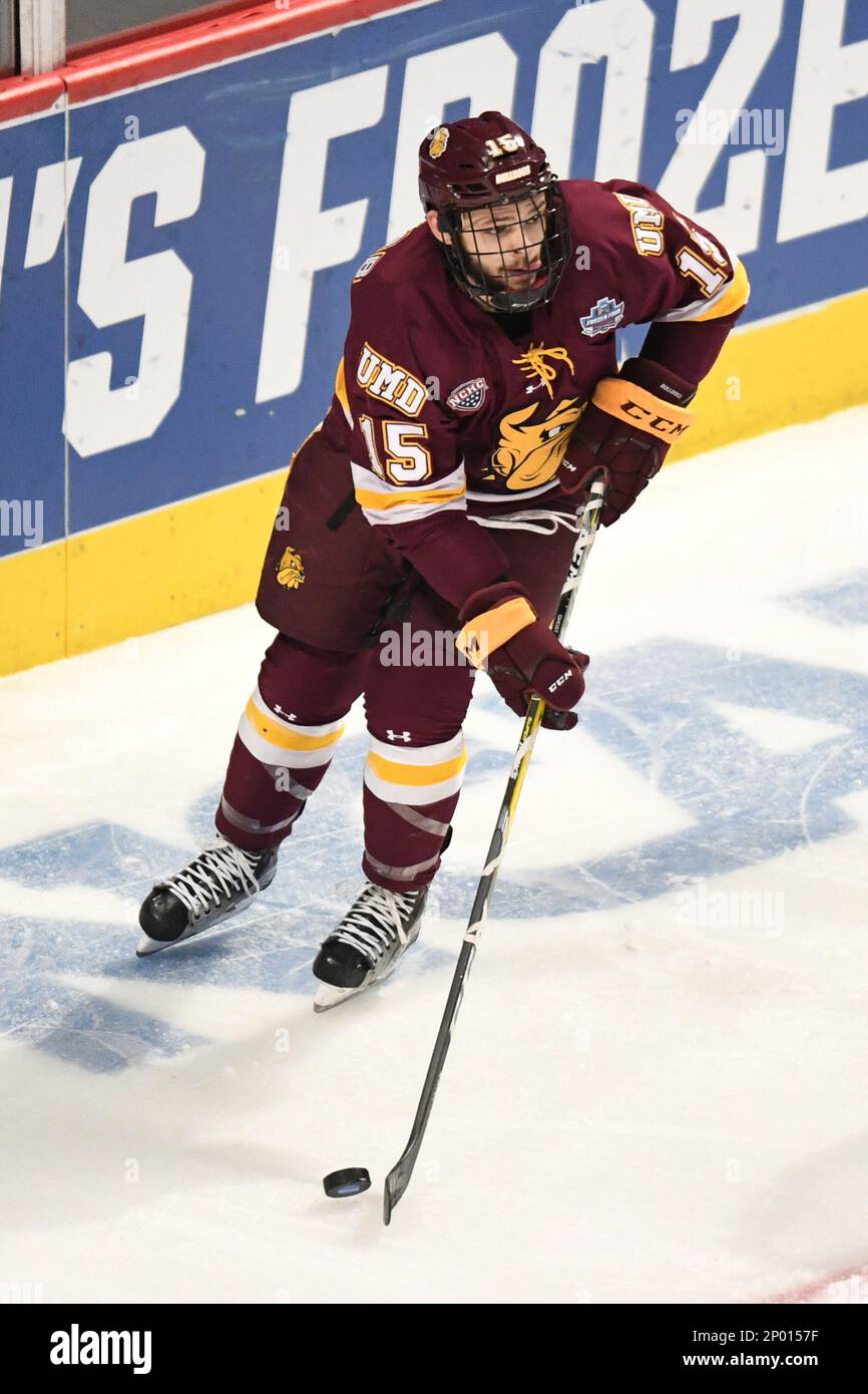 CHICAGO, IL - APRIL 08: Minnesota-Duluth Bulldogs defenseman Willie ...