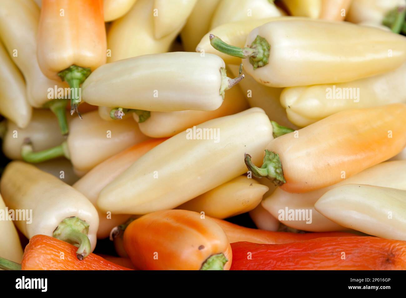 Close-up on a stack of Hungarian wax pepper for sale on a market stall. Stock Photo