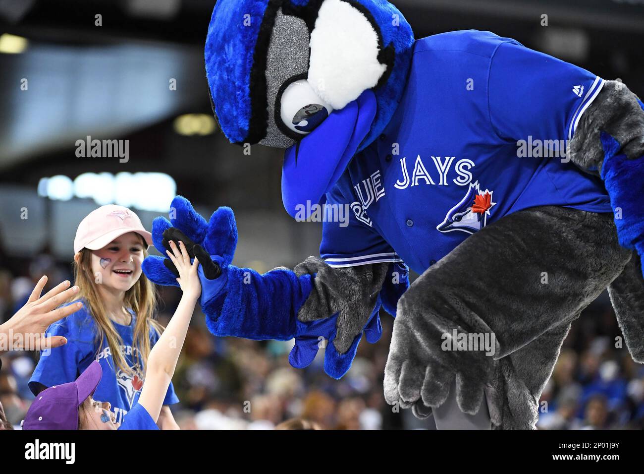 Toronto Blue Jays mascot Ace performs on the field before an