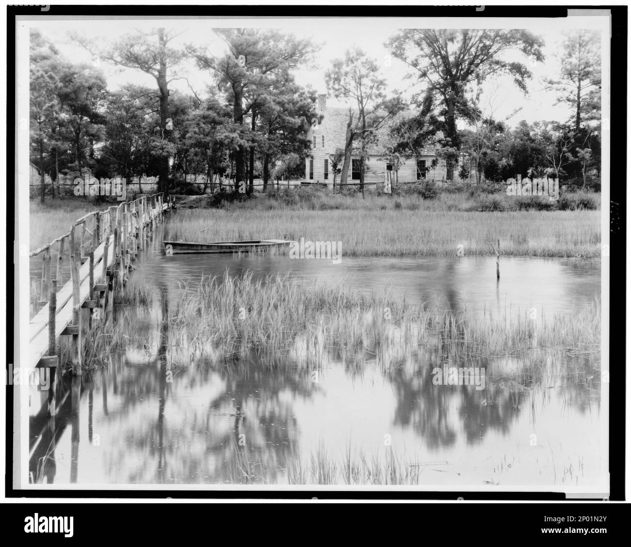 Brownsville marsh, Nassawadox, Northampton County, Virginia. Carnegie