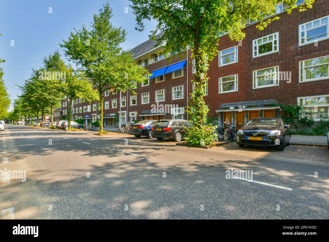 a street with cars parked on the side and trees growing in front of the ...