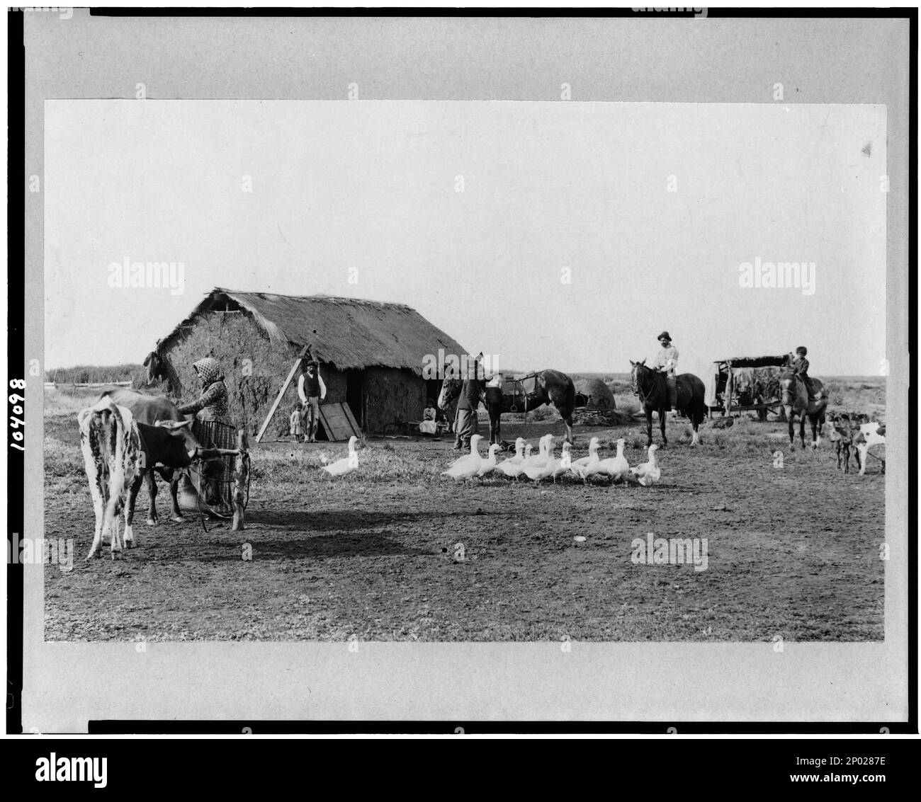 Immigrant's home, Argentina / photo by Moody, Buenos Aires.. Frank and
