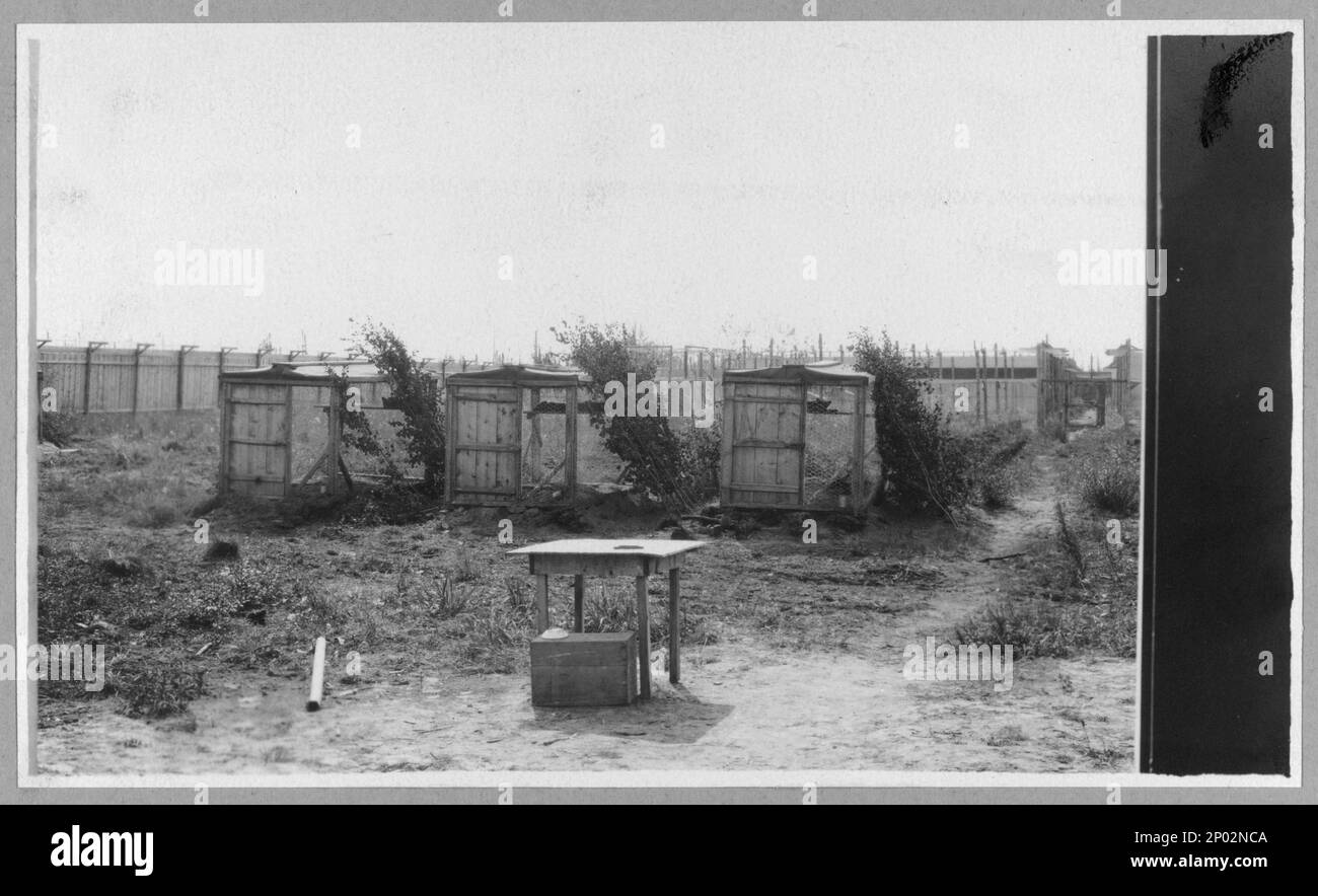 Fox farm. Frank and Frances Carpenter collection , Gift; Mrs. W. Chapin