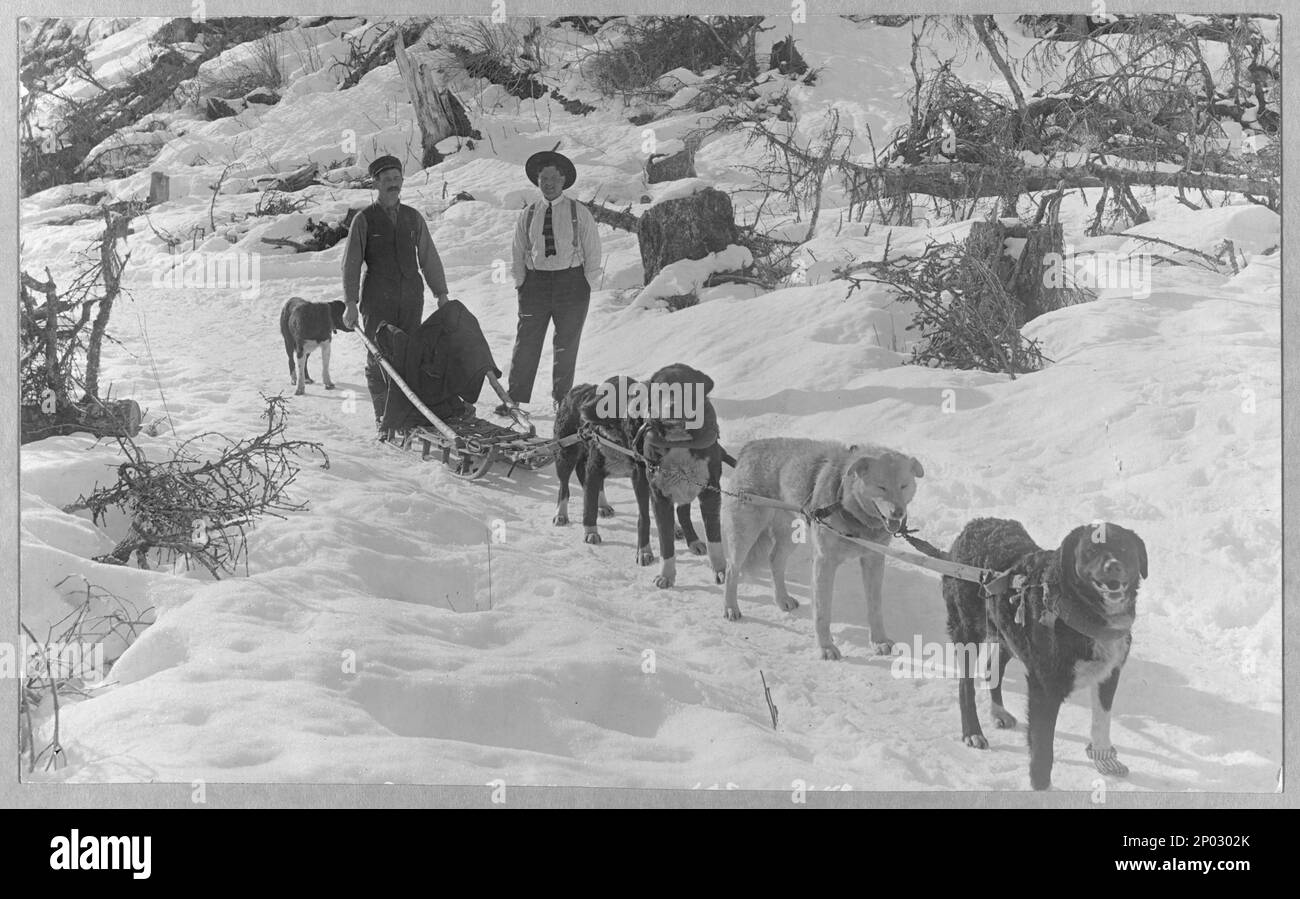Dog sled team Black and White Stock Photos & Images - Alamy