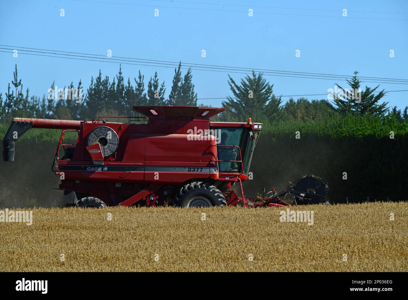 DARFIELD, NEW ZEALAND, FEBRUARY 12, 2023 A combine harvester takes in
