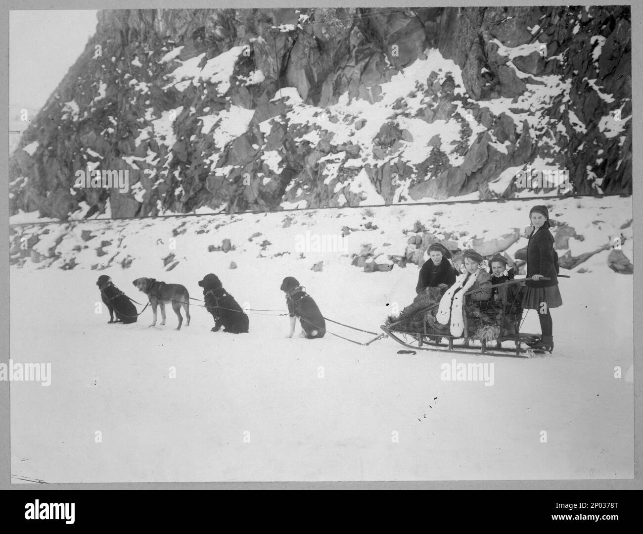 Vintage photo of dog sled team Northern Ontario @1920s Vintage photo of dog sled team Northern Ontario @1920s