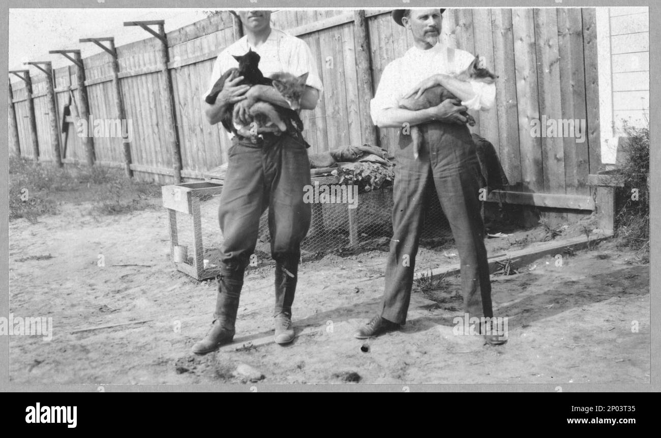 Fox farm. Frank and Frances Carpenter collection , Gift; Mrs. W. Chapin