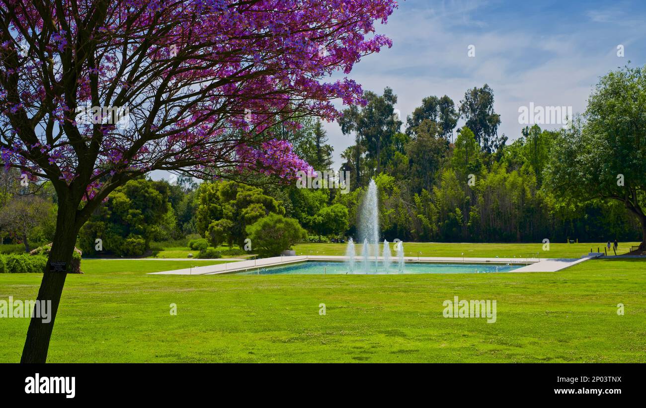 A water fountain in a grassy field. Stock Photo