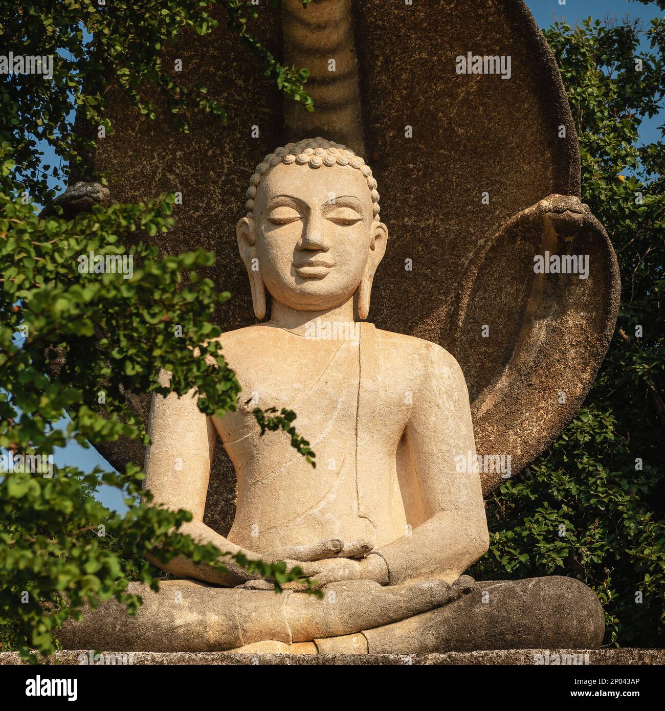 Buddha Statue amongst the jungle trees in Sigiriya, Sri Lanka Stock