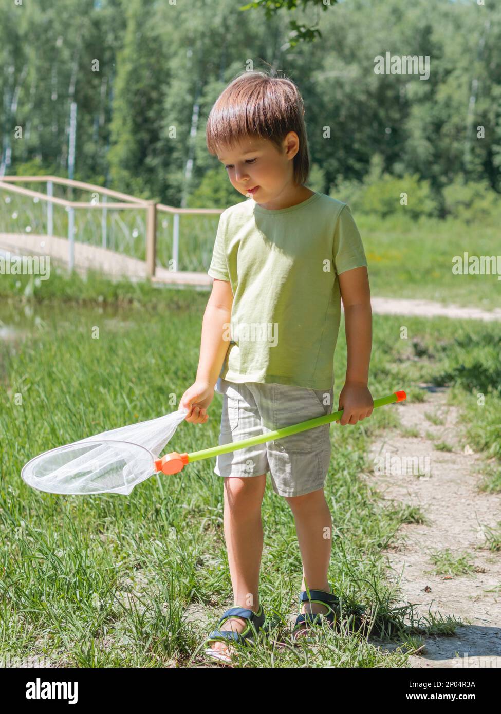 Little kid walks outdoors with butterfly net. Summer leisure activity for children. Insect hunting. Stock Photo