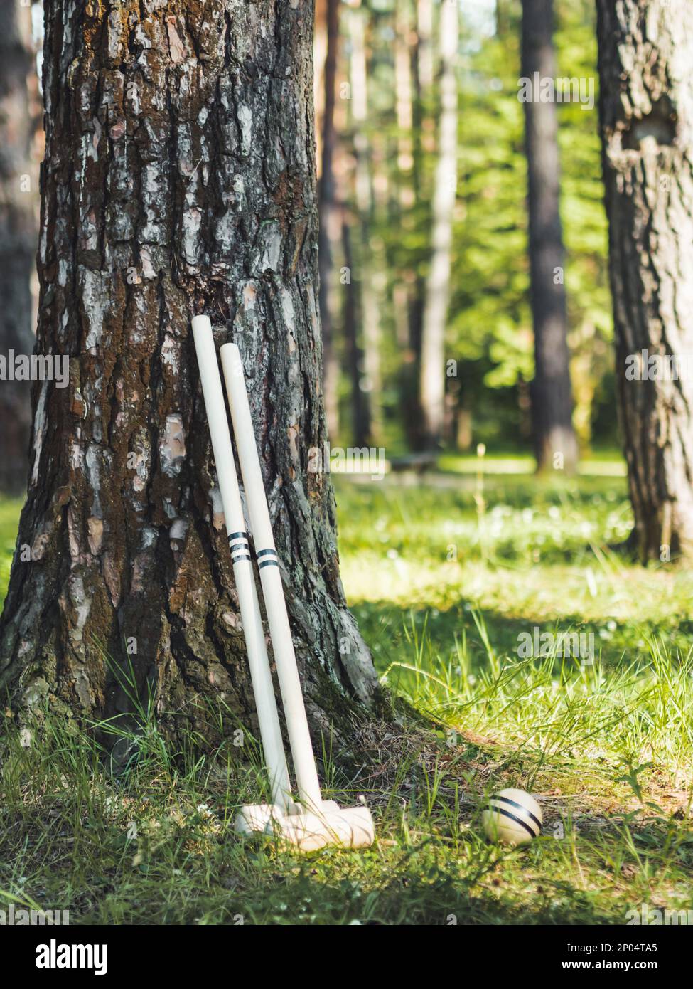 Sport equipment for croquet. Traditional English game in the open air