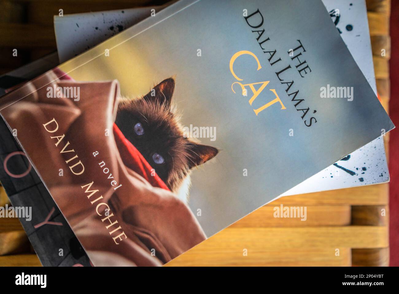 A copy of the Dalai Lama's cat Buddhist teachings by author David Mitchie Stock Photo
