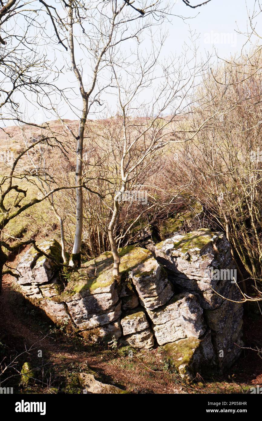 March 2023 - Rock formations in the hills, of the Mendips at Ubly Warren near Charterhouse, Somerset, UK. Stock Photo