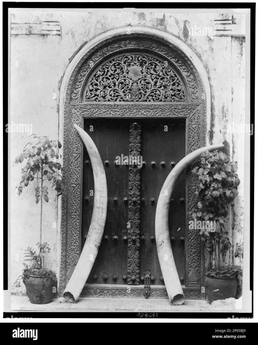 Doorway and ivory tusks. Frank and Frances Carpenter Collection , Carpenter, Frank G,(Frank George),,1855-1924,Journeys,Africa, Tusks,Zanzibar,1910-1930, Doors & doorways,Zanzibar,1910-1930. Stock Photo