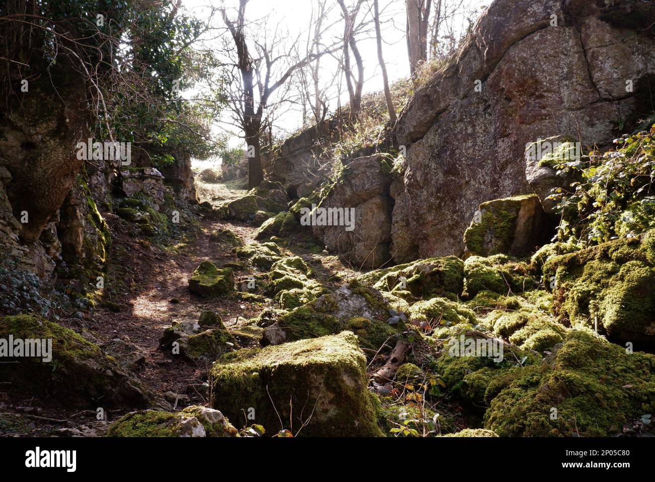 March 2023 - Rock formations in the hills, of the Mendips at Ubly Warren near Charterhouse, Somerset, UK. Stock Photo