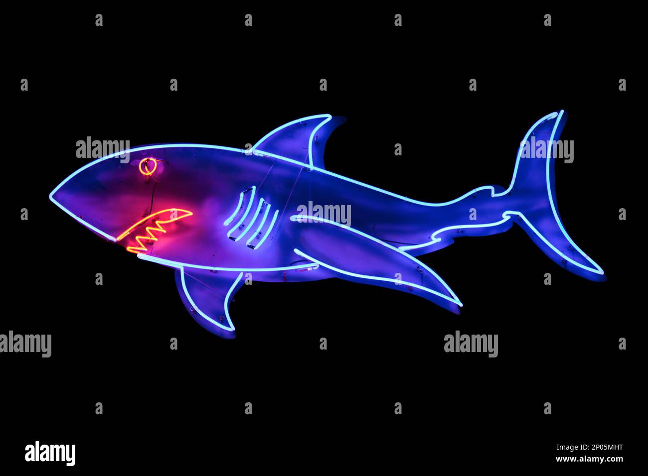 Blue neon light shaped into a shark. Stock Photo