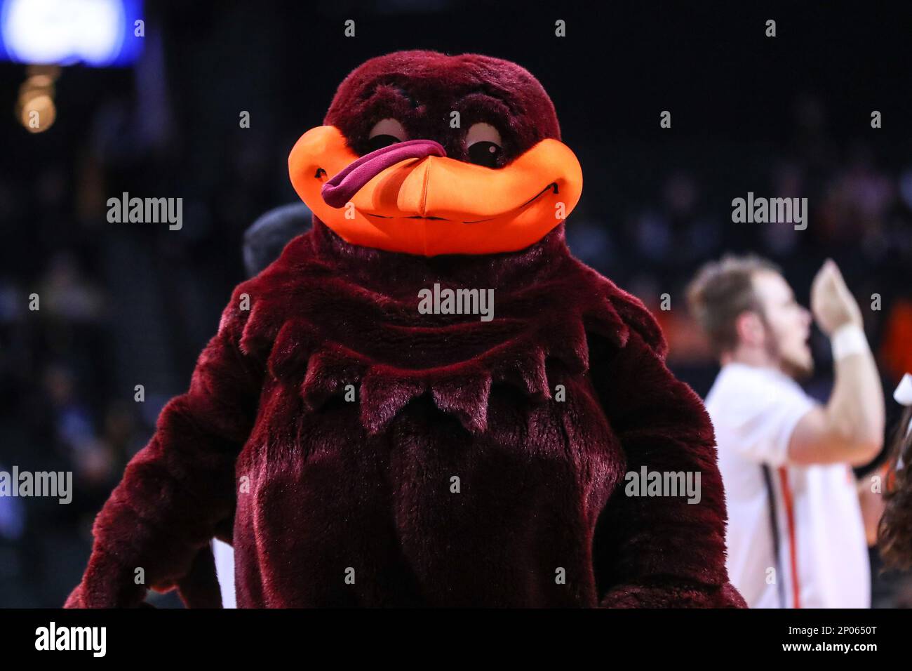 BROOKLYN, NY - MARCH 08: Virginia Tech Hokies Mascot during the second half  of the 2017 New York Life ACC Tournament second round game between the  Virginia Tech Hokies and the Wake