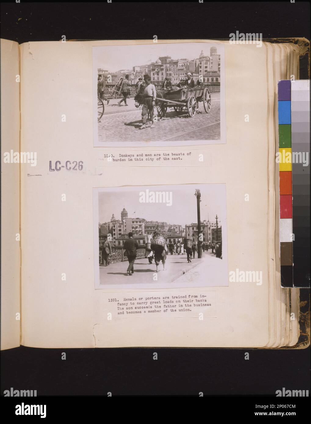 Donkeys and men are the beasts of burden in this city of the east Hamals or porters are trained from infancy to carry great loads on their backs. The son succeeds the father in the business and becomes a member of the union.. Frank and Frances Carpenter Collection , Bridges,Turkey,Istanbul,1920-1930, Carts & wagons,Turkey,Istanbul,1920-1930, Porters,Turkey,Istanbul,1920-1930. Stock Photo