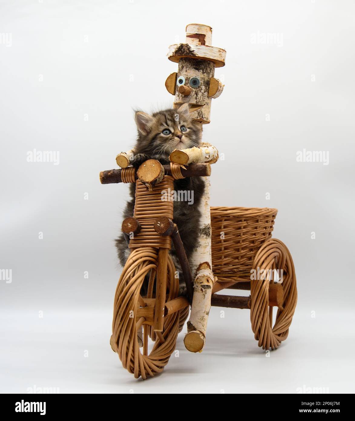 Cat tricycle cheap